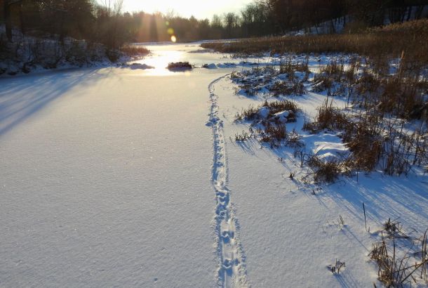 Snowshoeing