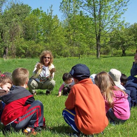 Guided School Programs