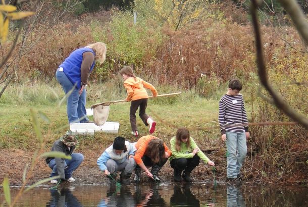 Pond Lesson